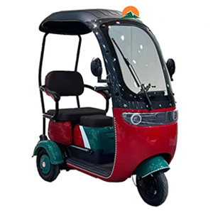 Xe Điện 3 Bánh Có Mái Che NC-X302